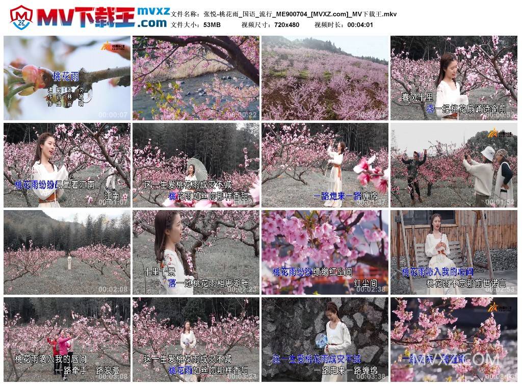 张悦-桃花雨_国语_流行_ME900704